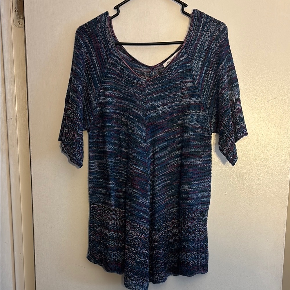 Multicolor V-Neck Crocheted Top with Flutter Sleeve